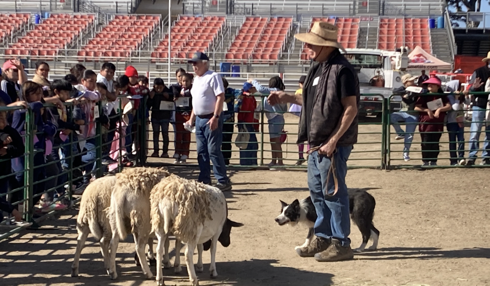 Bringing Agriculture to Life: Monterey County's Farm Day Inspires Third Graders